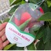 Портокал Arancio Moro